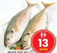 PARA كبير