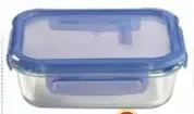 Food Container MH12655