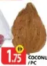 جوز الهند