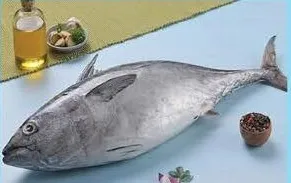 Tuna Fish