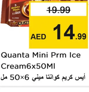 Quanta Mini Prm Ice Cream