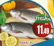 سمك روهو