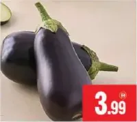 brinjal big