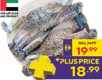 كابوريا أنثى زرقاء طازجة محلية