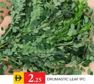 Drumastic Leaf