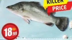 Sea Bass (Kalanchi)