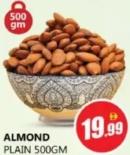 Almond Plain
