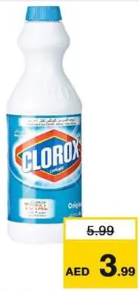 Clorox Pints Regular