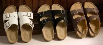 Men's Slippers Assorted