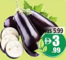 Egg Plant Big Oman