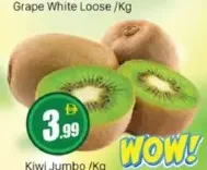 Kiwi Jumbo
