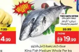 King Fish Medium Whole