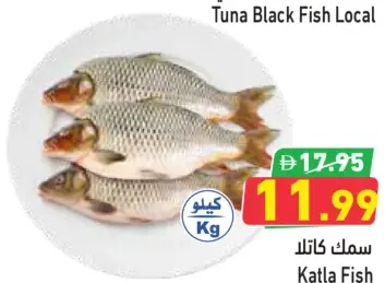 سمك كاتلا