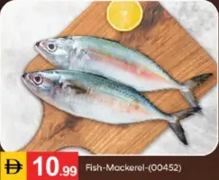 Fish-Mackerel 00452