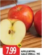 Apple Royal Gala Small