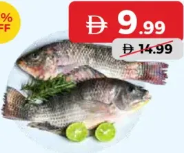 Tilapia