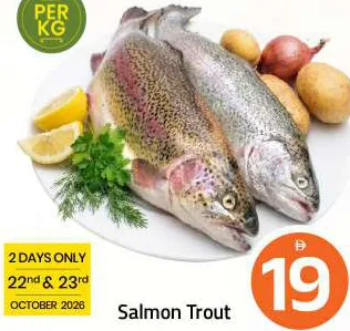 Salmon Trout