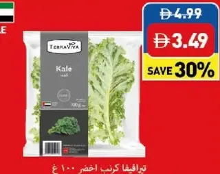 Terraviva Leaves Green Kale