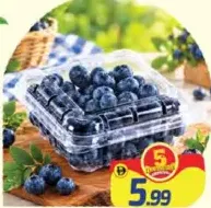 Blue Berry