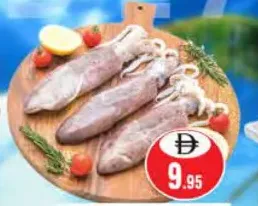 Fresh Squid
