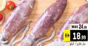 Fresh Squid