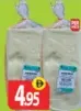 Dolphin Agege Bread