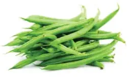فاصوليا خضراء