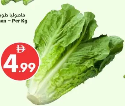 خس