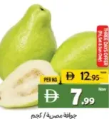 Guava Egypt