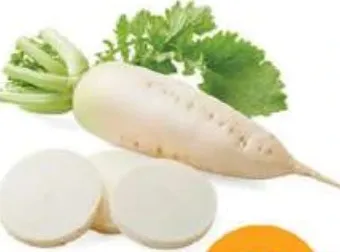 Radish White