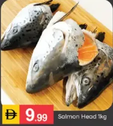 Salmon Head