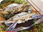 Crab