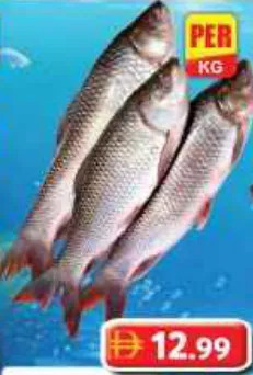 Fresh Rohu