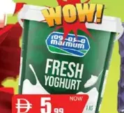 Marmum Youghurt