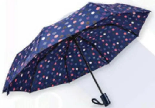 3 Fold Umbrella Print