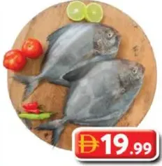 Black Pomfret Pakistan