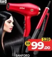 Sanford Hair Straightener + Hair Dryer