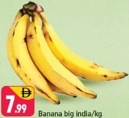 Banana Big India