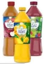 Hayatna عصير صنسي متنوع