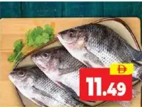 Tilapia Defrosted