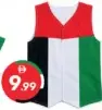 Flag Vest
