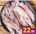 Squid Fish (Fresh)