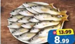 Naisar Fish