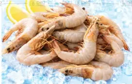 Fresh Shrimps 60/40