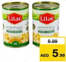 Lilac Canned Mushroom Sliced