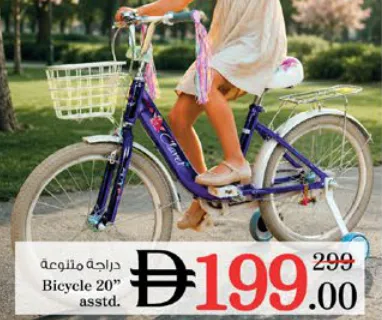Claret Bicycle Assorted
