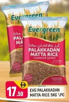 Evergreen الأرز بالاكادان ماتا