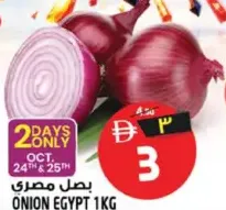 Onion Egypt