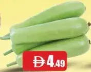 Bottle Gourd Long