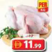 Fresh Chicken